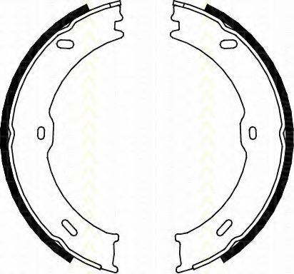 TRISCAN 810010023 Комплект гальмівних колодок; Комплект гальмівних колодок, стоянкова гальмівна система