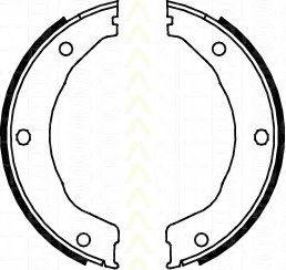 TRISCAN 810010030 Комплект гальмівних колодок, стоянкова гальмівна система