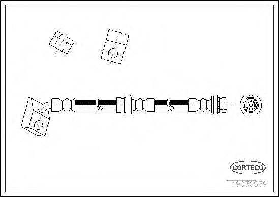CORTECO 19030539 Гальмівний шланг