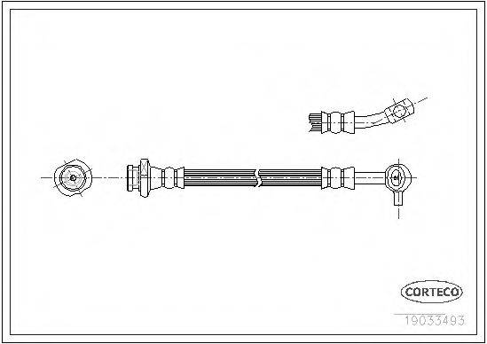 CORTECO 19033493 Гальмівний шланг