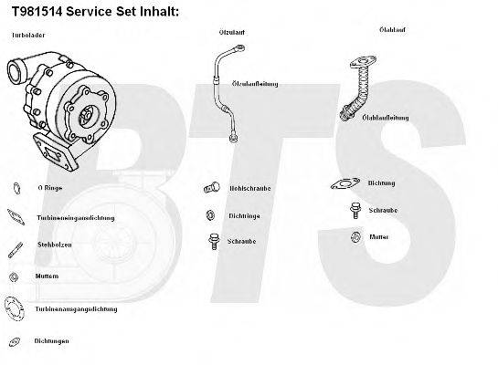 BTS TURBO T981514 Компресор наддув