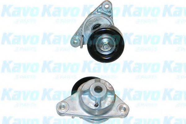 KAVO PARTS DTP1002 Натяжний ролик, полікліновий ремінь