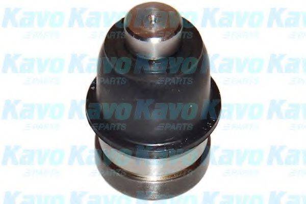 KAVO PARTS SBJ5522 несучий / напрямний шарнір