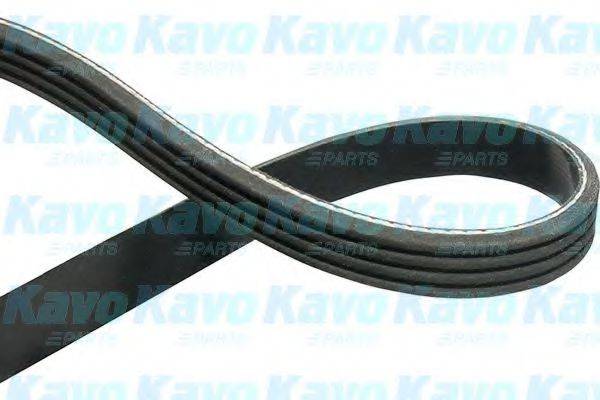 KAVO PARTS DMV9104 Полікліновий ремінь