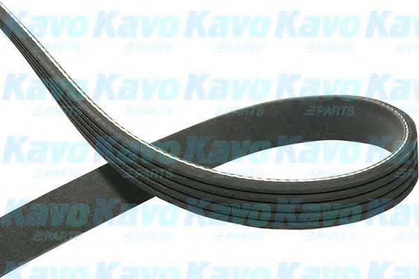 KAVO PARTS DMV1008 Полікліновий ремінь