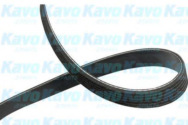 KAVO PARTS DMV2038 Полікліновий ремінь