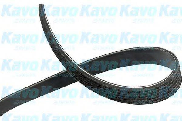 KAVO PARTS 6PK2325 Полікліновий ремінь