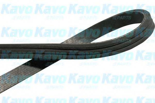 KAVO PARTS DMV6502 Полікліновий ремінь