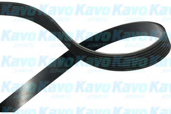 KAVO PARTS DMV9110 Полікліновий ремінь