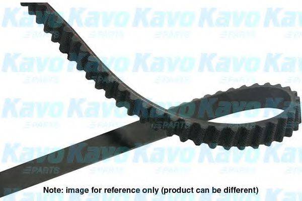 KAVO PARTS DTB5523 Ремінь ГРМ