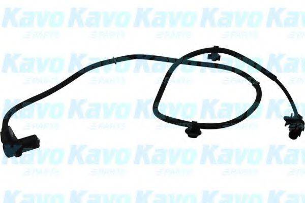 KAVO PARTS BAS5506 Датчик, частота обертання колеса