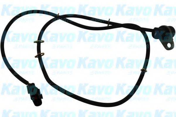 KAVO PARTS BAS5508 Датчик, частота обертання колеса