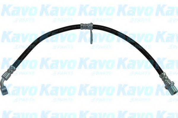 KAVO PARTS BBH8080 Гальмівний шланг