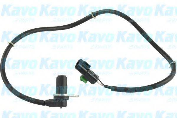 KAVO PARTS BAS5545 Датчик, частота обертання колеса