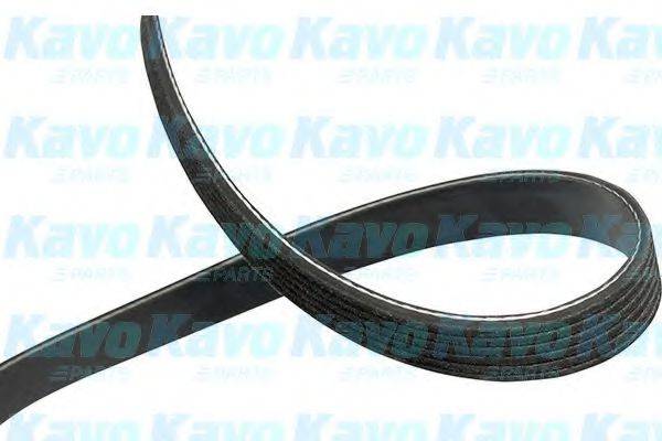 KAVO PARTS DMV3051 Полікліновий ремінь