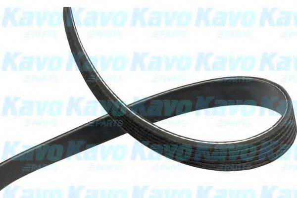 KAVO PARTS DMV4550 Полікліновий ремінь