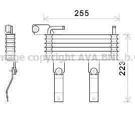 AVA QUALITY COOLING HY3369 Олійний радіатор, автоматична коробка передач