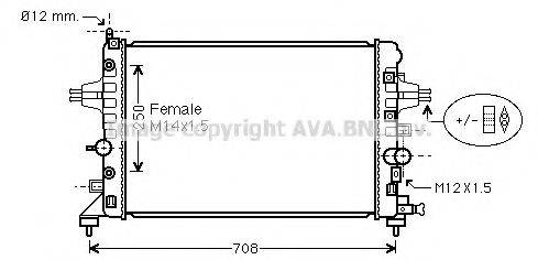 AVA QUALITY COOLING OL2482 Радіатор, охолодження двигуна