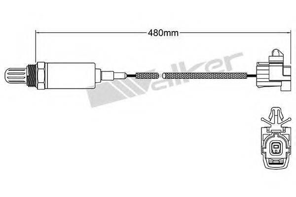 WALKER PRODUCTS 25021010 Лямбда-зонд