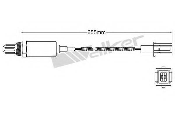 WALKER PRODUCTS 25021012 Лямбда-зонд