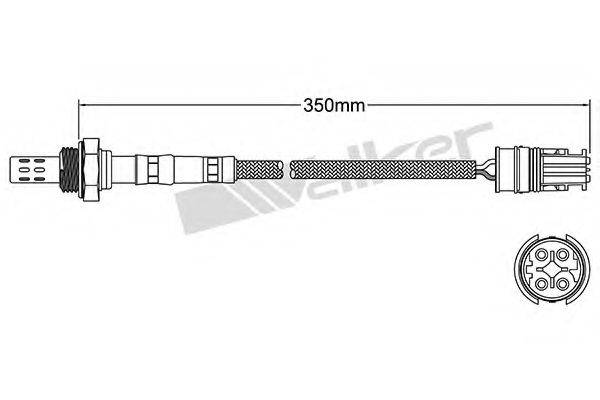 WALKER PRODUCTS 25024611 Лямбда-зонд