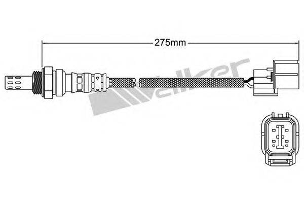 WALKER PRODUCTS 25024602 Лямбда-зонд