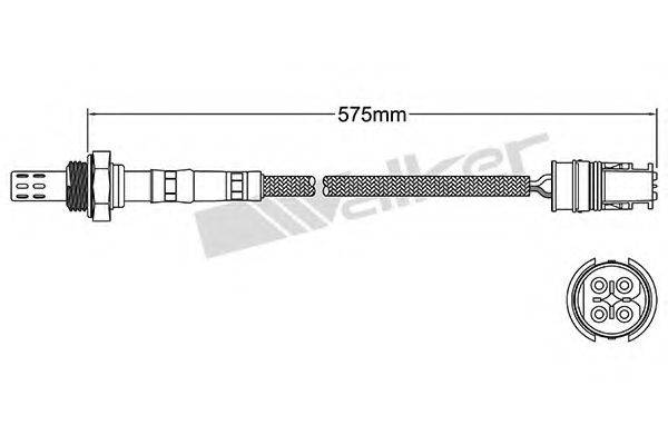 WALKER PRODUCTS 25024381 Лямбда-зонд