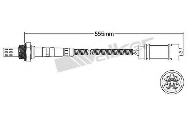 WALKER PRODUCTS 25024125 Лямбда-зонд