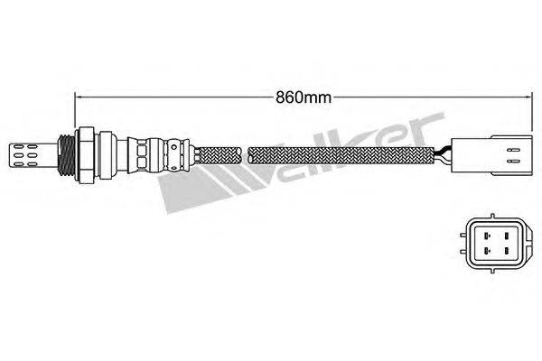 WALKER PRODUCTS 25024818 Лямбда-зонд