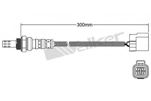 WALKER PRODUCTS 25024020 Лямбда-зонд