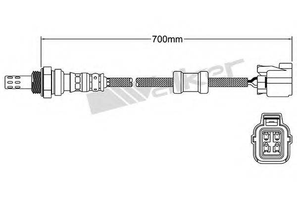 WALKER PRODUCTS 25024763 Лямбда-зонд