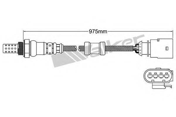 WALKER PRODUCTS 25024755 Лямбда-зонд