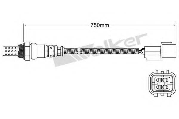 WALKER PRODUCTS 25024780 Лямбда-зонд