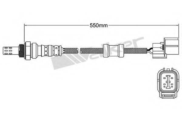 WALKER PRODUCTS 25024784 Лямбда-зонд