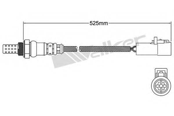 WALKER PRODUCTS 25024793 Лямбда-зонд