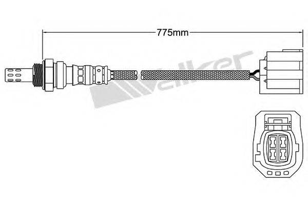 WALKER PRODUCTS 25024718 Лямбда-зонд