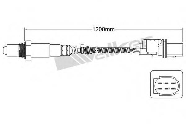 WALKER PRODUCTS 80095006 Лямбда-зонд