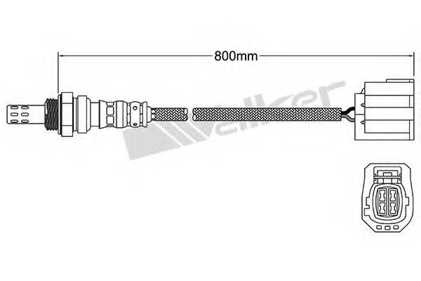 WALKER PRODUCTS 25024661 Лямбда-зонд