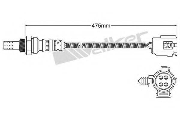 WALKER PRODUCTS 25024943 Лямбда-зонд