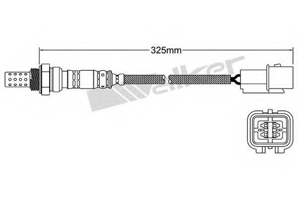 WALKER PRODUCTS 25024162 Лямбда-зонд