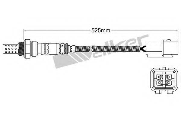 WALKER PRODUCTS 25024167 Лямбда-зонд