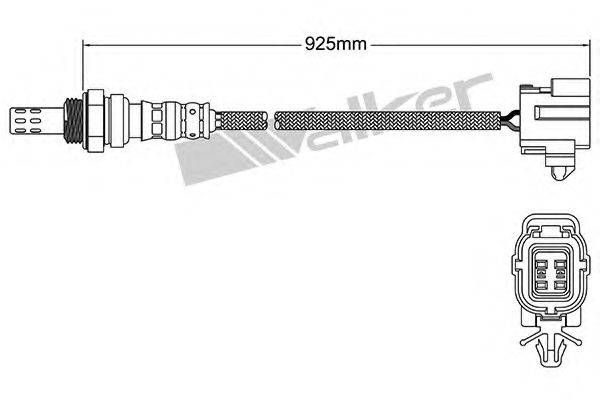 WALKER PRODUCTS 25024875 Лямбда-зонд