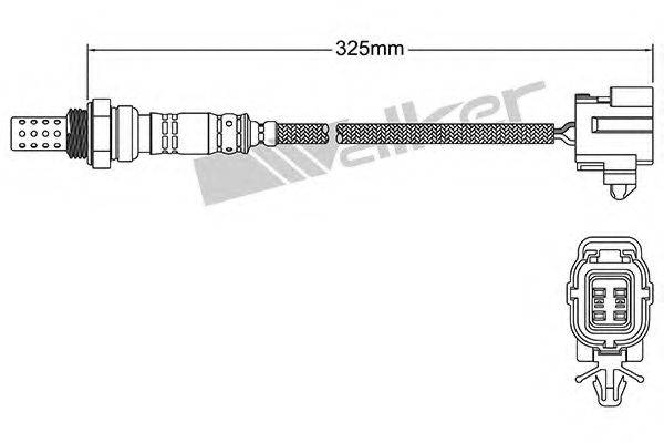 WALKER PRODUCTS 25024905 Лямбда-зонд