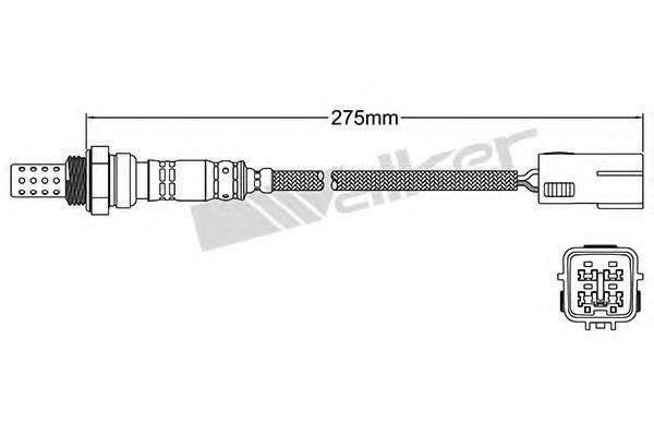 WALKER PRODUCTS 25024325 Лямбда-зонд