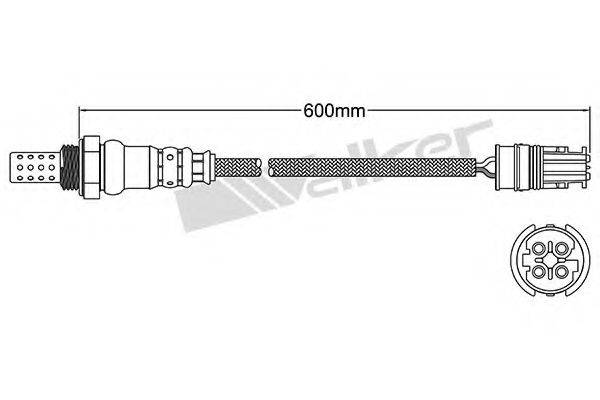 WALKER PRODUCTS 25024713 Лямбда-зонд