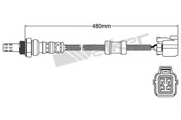 WALKER PRODUCTS 25024343 Лямбда-зонд