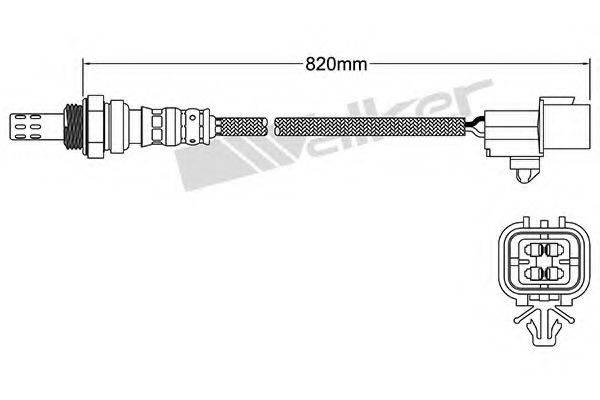 WALKER PRODUCTS 25024383 Лямбда-зонд