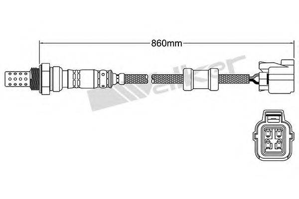 WALKER PRODUCTS 25024601 Лямбда-зонд