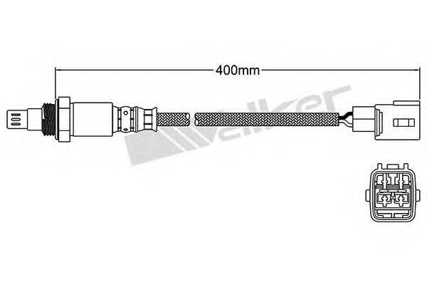 WALKER PRODUCTS 25054006 Лямбда-зонд