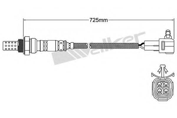 WALKER PRODUCTS 25024336 Лямбда-зонд